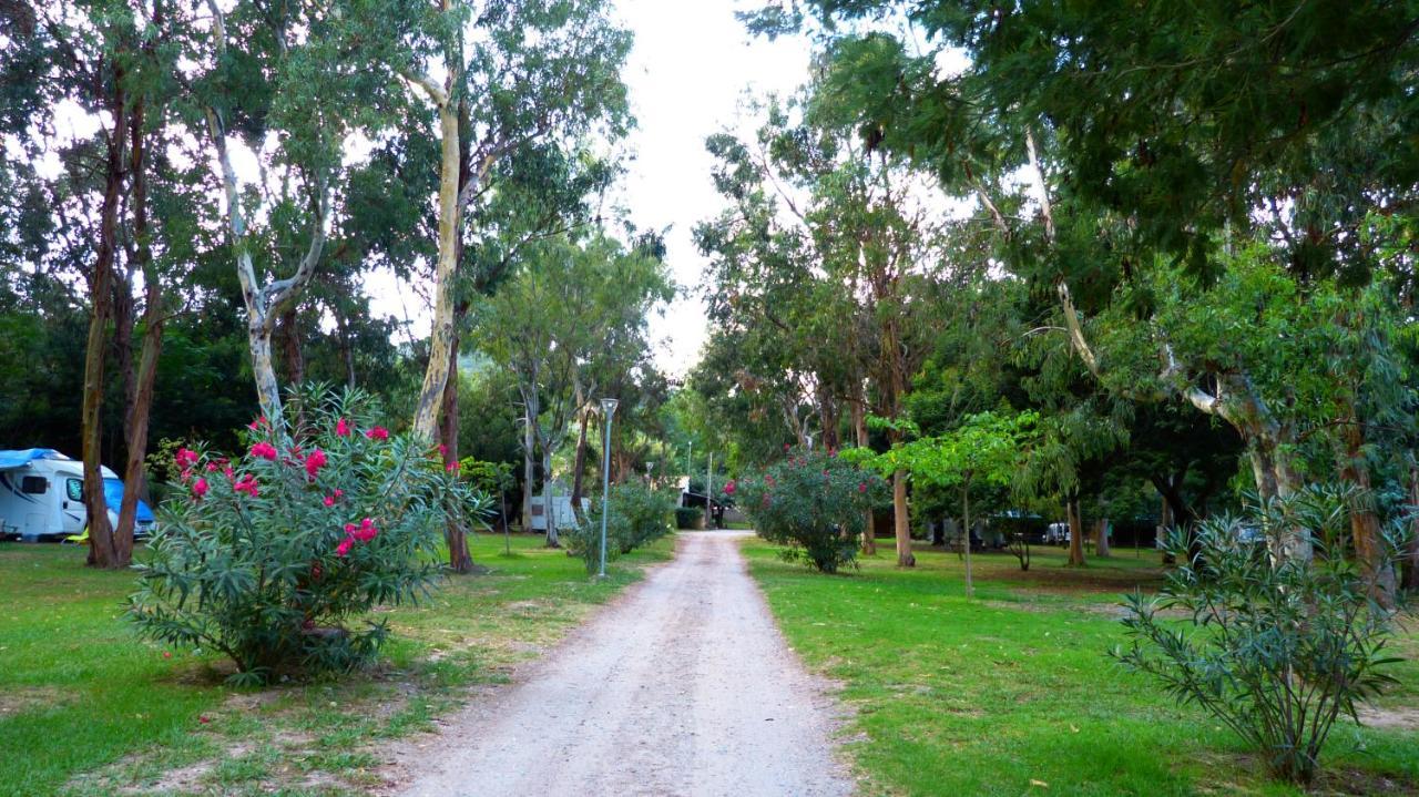 Camping Miami Plage Hotel Poggio Mezzana Kültér fotó